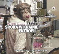 Sroka w krainie entropii