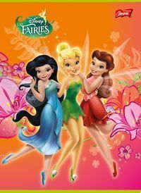 Zeszyt A5 Wróżki w kratkę 16 kartek brokat pomarańczowy