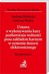 Ustawa o wykonywaniu kary pozbawienia wolności poza zakładem karnym w systemie dozoru elektroniczneg