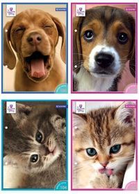 Wkłady do segregatora A5 Sweet Pets 8 kartek z kolorowankami mix