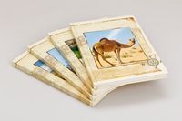 Brulion A5 w linie 96 kartek mix wzorów