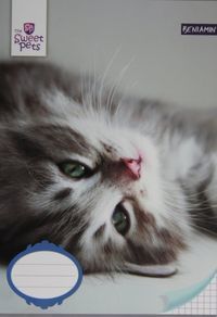 Zeszyt A5 Sweet Pets w kratkę 32 kartki Kot