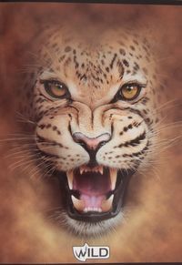 Zeszyt A5 Wild w kratkę 60 kartek Lew