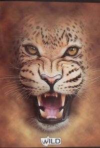 Zeszyt A5 Wild w kratkę 80 kartek Lew