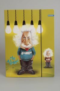 Teczka z gumką A4 Einstein