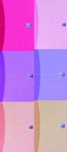 Kołonotes Oxford Beauty