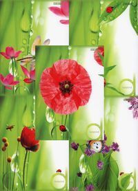 Zeszyt A5 Top-2000 w linie 80 kartek Ladybird Mix