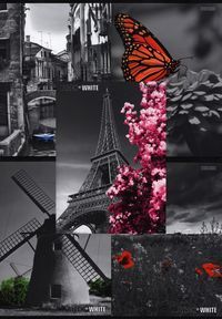 Zeszyt A5 Top-2000 w linie 80 kartek Black&White Mix