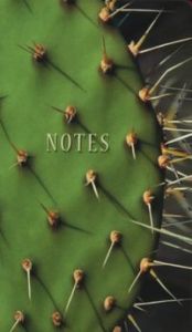 Notes bloczkowy ND 101 z długopisem Kaktus