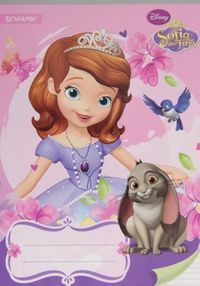 Zeszyt A5 Jej Wysokość Zosia w trzy linie 16 kartek różowy