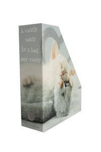 Pudło archiwizacyjne Rachael Hale